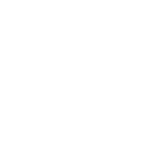 Map icon