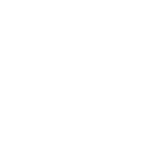 Phone call icon